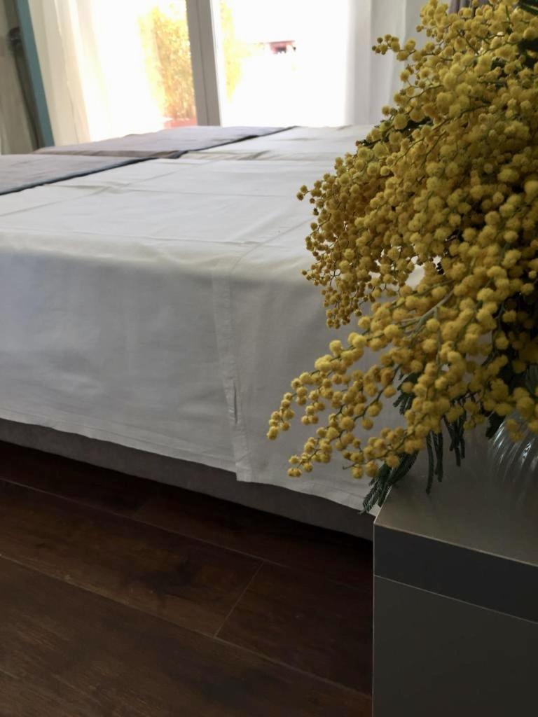 שקודר Amberyellowbnb מראה חיצוני תמונה
